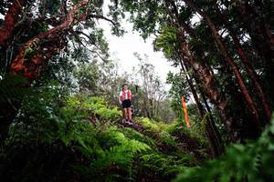 BIB: 
                            <button type="button" onclick="openModal(26202808)" class="btn btn-primary btn-sm float-right btn-popup" data-toggle="modal" data-target=".modal-high-quality">
                        <i class="fas fa-shopping-cart"></i> Add to Cart
                    </button>
                                            <button type="button" onclick="isThisMe(26202808, true)" class="btn btn-success btn-sm float-right btn-popup btn-isme hidden" data-toggle="tooltip" data-placement="bottom" title="นี่คือรูปของคุณใช่ไหม คลิกที่นี่เพื่อเอาเข้าอัลบั้ม">
                        <i class="fas fa-plus"></i> Add to album
                    </button>
                    <button type="button" onclick="isThisMe(26202808, false)" class="btn btn-warning btn-sm float-right btn-popup btn-isnotme hidden">
                        <i class="fas fa-ban"></i> Remove from album
                    </button>